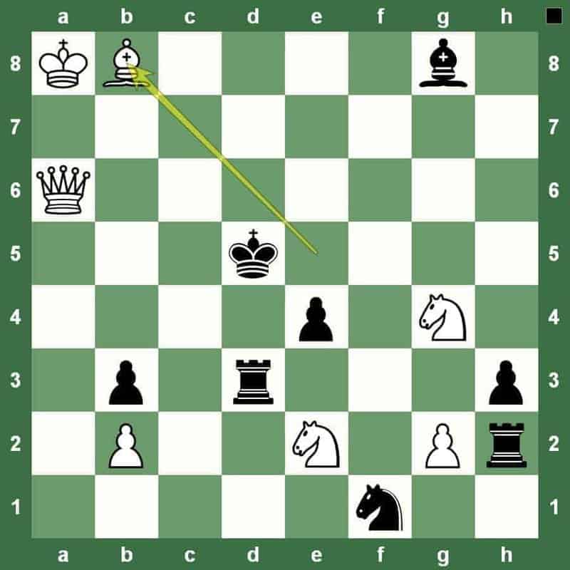 checkmate 3 puzzle