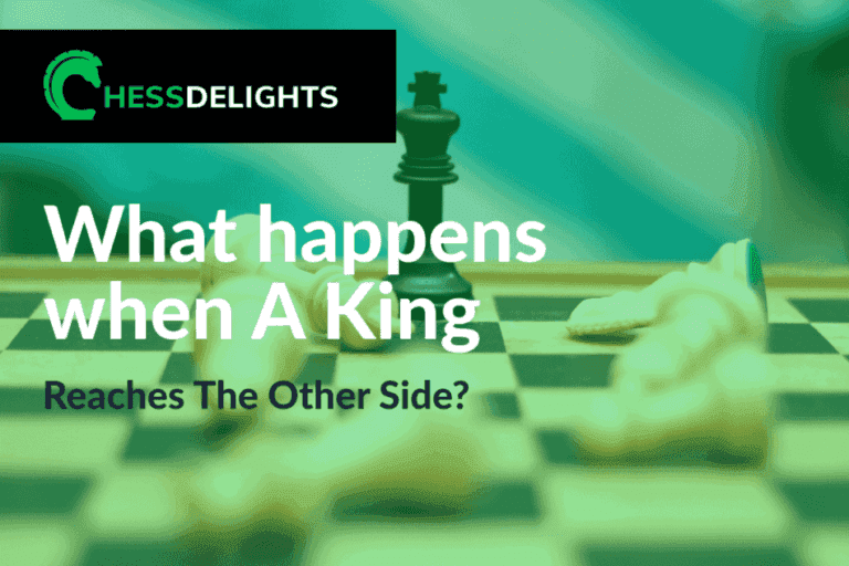 chessdelights