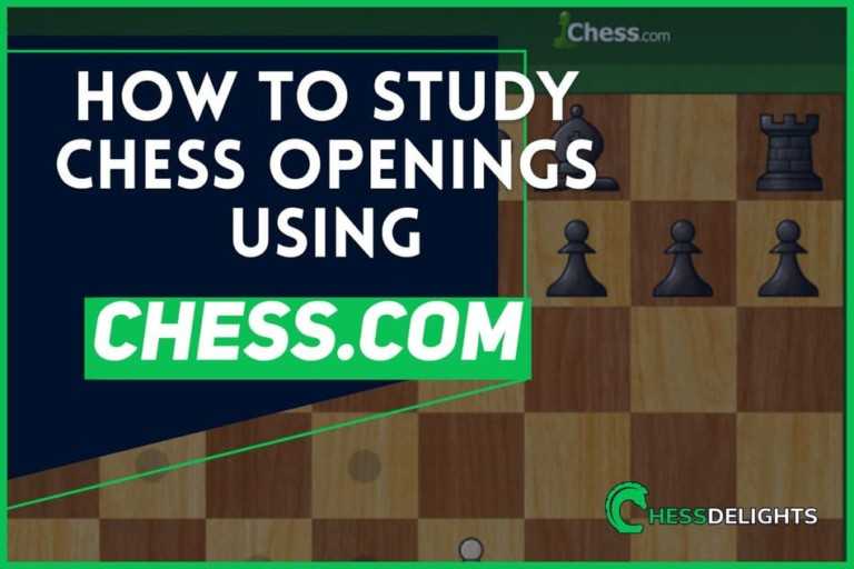 how to study in chess.com