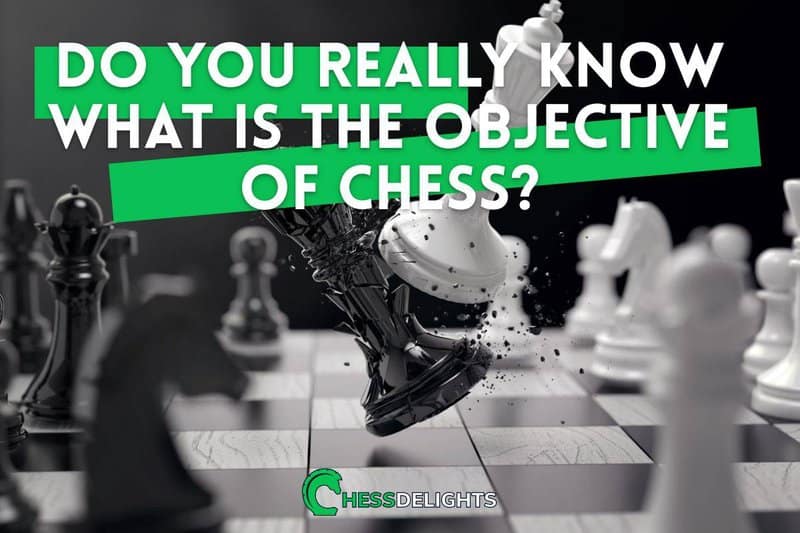 Do You Really Know What Is The Objective Of Chess?